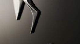 Citroen DS5 - emblemat