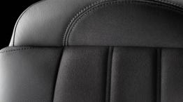 Citroen DS5 - inny element wnętrza z przodu