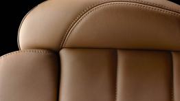 Citroen DS5 - inny element wnętrza z przodu