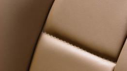 Citroen DS5 - inny element wnętrza z przodu