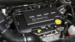 Adam S, Adam Rocks - na sportowo, terenowo