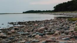 Wakacje na Litwie, Łotwie i w Estonii – czy to dobry pomysł na letnią wyprawę?