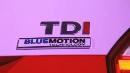 Volkswagen Transporter T6 - ładniejszy, bezpieczniejszy i bardziej komfortowy