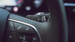 Audi Q8 – wyznaczyło kierunek. Ale czy właściwy?