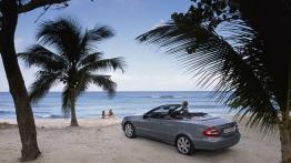 Mercedes Klasa CLK Cabriolet - widok z tyłu