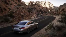 BMW serii 4 Coupe Concept - widok z góry