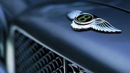 Bentley Arnage T - logo