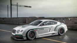 Bentley Continental GT3 Concept - lewy bok