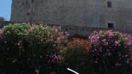 Bracia przyrodni - VW EOS i Golf Cabriolet