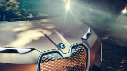 BMW Vision iNext - grill