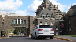 The Call of the Wild. Z przyrodą za pan brat