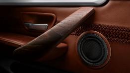 BMW serii 4 Coupe Concept - drzwi kierowcy od wewnątrz