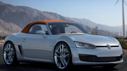 Volkswagen Bluesport Concept - prawy bok