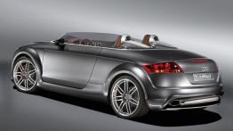 Audi TT Clubsport Concept - widok z tyłu