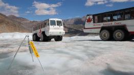 The Call of the Wild. Z przyrodą za pan brat