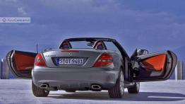 Mercedes SLK - mały, ale wariat