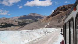 The Call of the Wild. Z przyrodą za pan brat