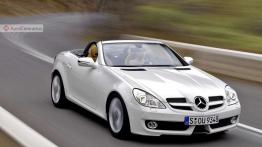 Mercedes SLK - mały, ale wariat