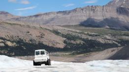 The Call of the Wild. Z przyrodą za pan brat