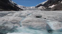 The Call of the Wild. Z przyrodą za pan brat