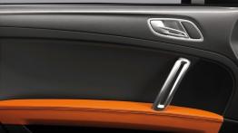 Audi TT Clubsport Concept - drzwi kierowcy od wewnątrz