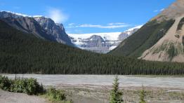 The Call of the Wild. Z przyrodą za pan brat