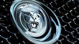 Jaguar C-XF Concept - logo