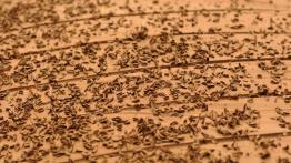 Seat IBL Concept - projektowanie auta