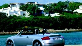 Audi TT - widok z tyłu