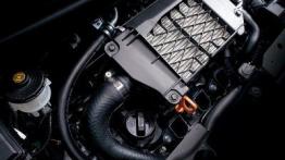 Honda Zest - maska otwarta