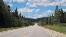 The Call of the Wild. Z przyrodą za pan brat