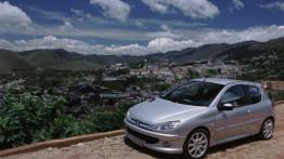 Peugeot 206 - lewy bok