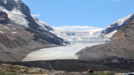 The Call of the Wild. Z przyrodą za pan brat