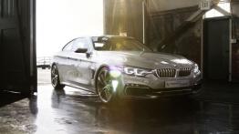 BMW serii 4 Coupe Concept - widok z przodu