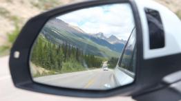 The Call of the Wild. Z przyrodą za pan brat