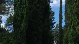 Bracia przyrodni - VW EOS i Golf Cabriolet