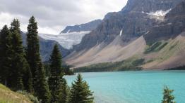 The Call of the Wild. Z przyrodą za pan brat