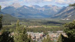 The Call of the Wild. Z przyrodą za pan brat