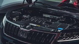 Skoda Kodiaq - przyszły hit?