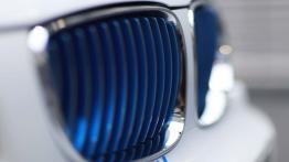 BMW ActiveE Concept - grill