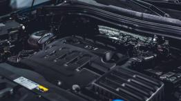 Skoda Kodiaq - przyszły hit?