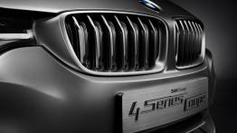 BMW serii 4 Coupe Concept - grill