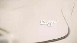 Aston Martin Cygnet - dobór materiałów wykończeniowych