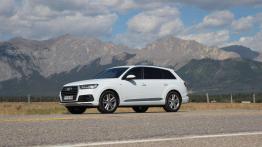 The Call of the Wild. Z przyrodą za pan brat