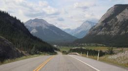 The Call of the Wild. Z przyrodą za pan brat