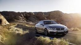 BMW serii 4 Coupe Concept - prawy bok
