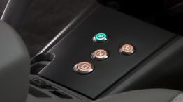 Toyota RAV4 EV Concept - inny element wnętrza z przodu