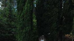 Bracia przyrodni - VW EOS i Golf Cabriolet