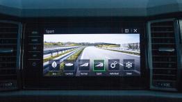 Znamy ceny Skody Kodiaq RS. Nie jest tanio, ale może warto