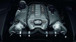 Porsche Cayenne Turbo S - w garniturze w błoto